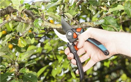 Ciseaux de Jardin B/S-XL Gardena 8905-20