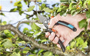 Ciseaux de Jardin B/S-XL Gardena 8905-20
