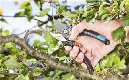 Ciseaux de Jardin B/S-XL Gardena 8905-20